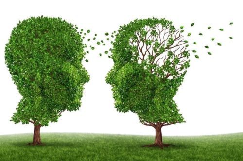 Identifying Symptoms of Alzheimer’s and Dementia in Elderly Relatives