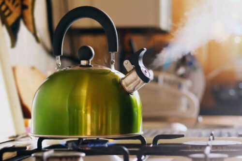 The Impact of Inflated Energy Prices on the Older Population