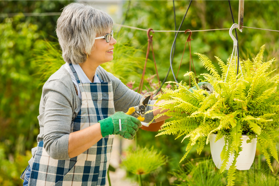 Gardening for senior