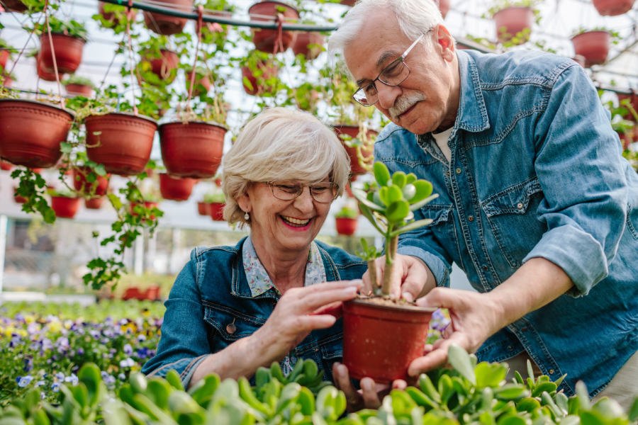 senior couple enjoying gardening